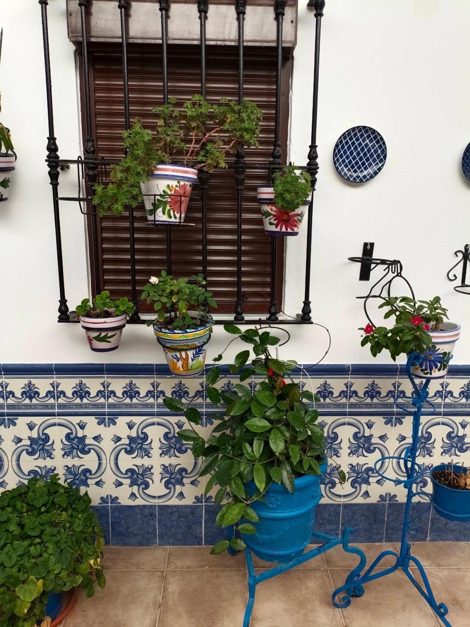 Casa Rural Patio Rociero El Rocio Exterior photo